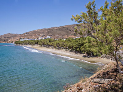 Η παραλία Κιόνια με αρμυρίκια κατά μήκος της ακτής