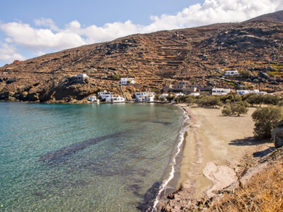 Παραλία με ελαιόδεντρα και λευκά σπίτια σκαρφαλωμένα στην πλαγιά