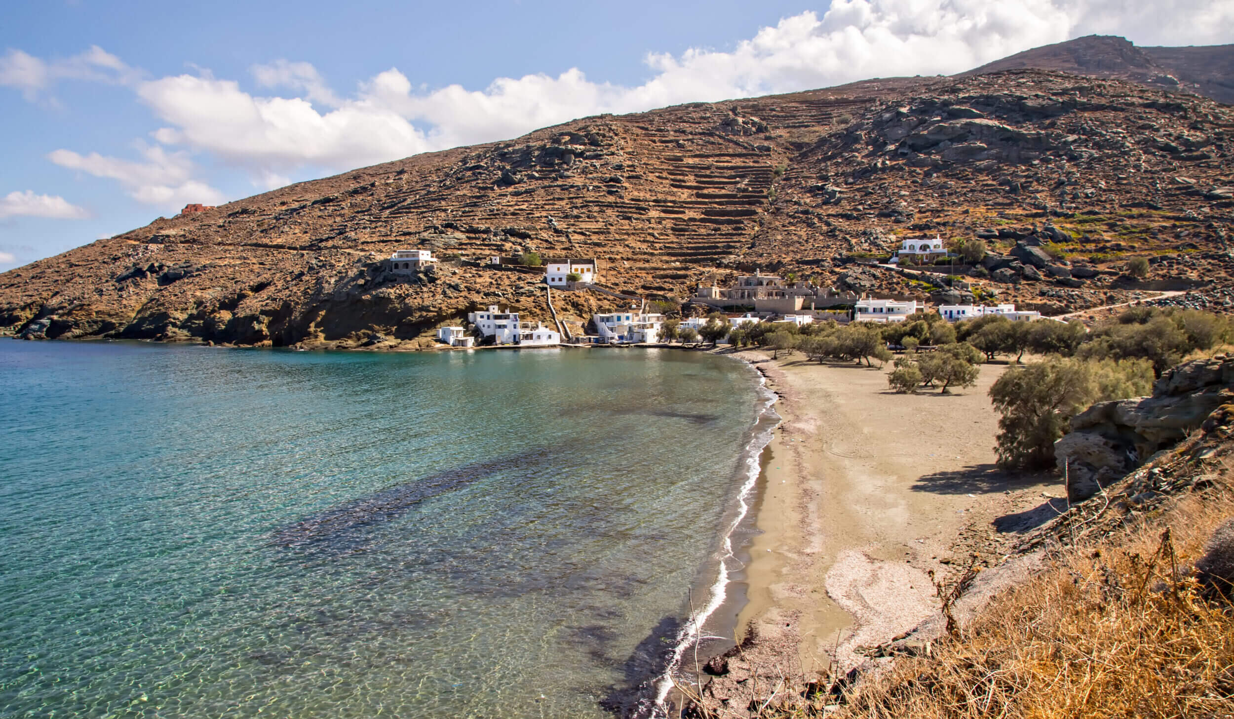 Παραλία με ελαιόδεντρα και λευκά σπίτια σκαρφαλωμένα στην πλαγιά
