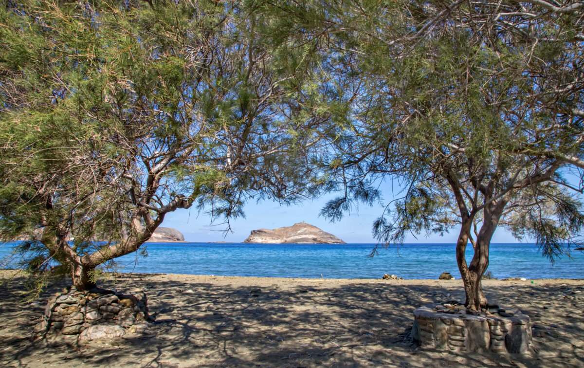 Αρμυρίκια στην ακτή πλαισιώνουν τη θάλασσα και τη βραχονησίδα